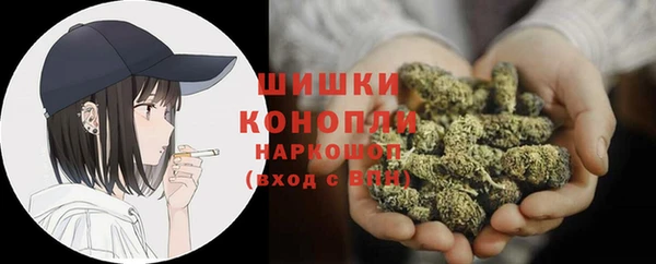 молекула духа Белокуриха