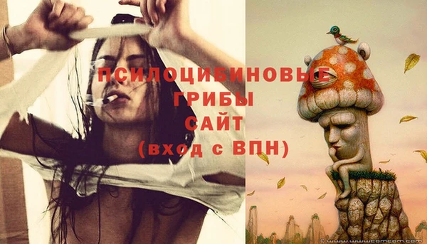 молекула духа Белокуриха