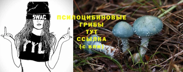 спиды Баксан