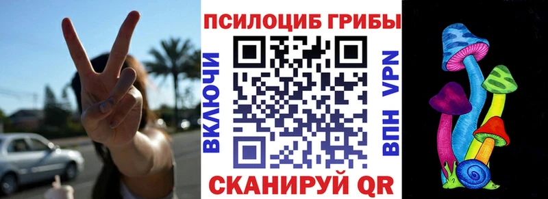 мега ссылка  купить закладку  Игарка  Псилоцибиновые грибы прущие грибы 